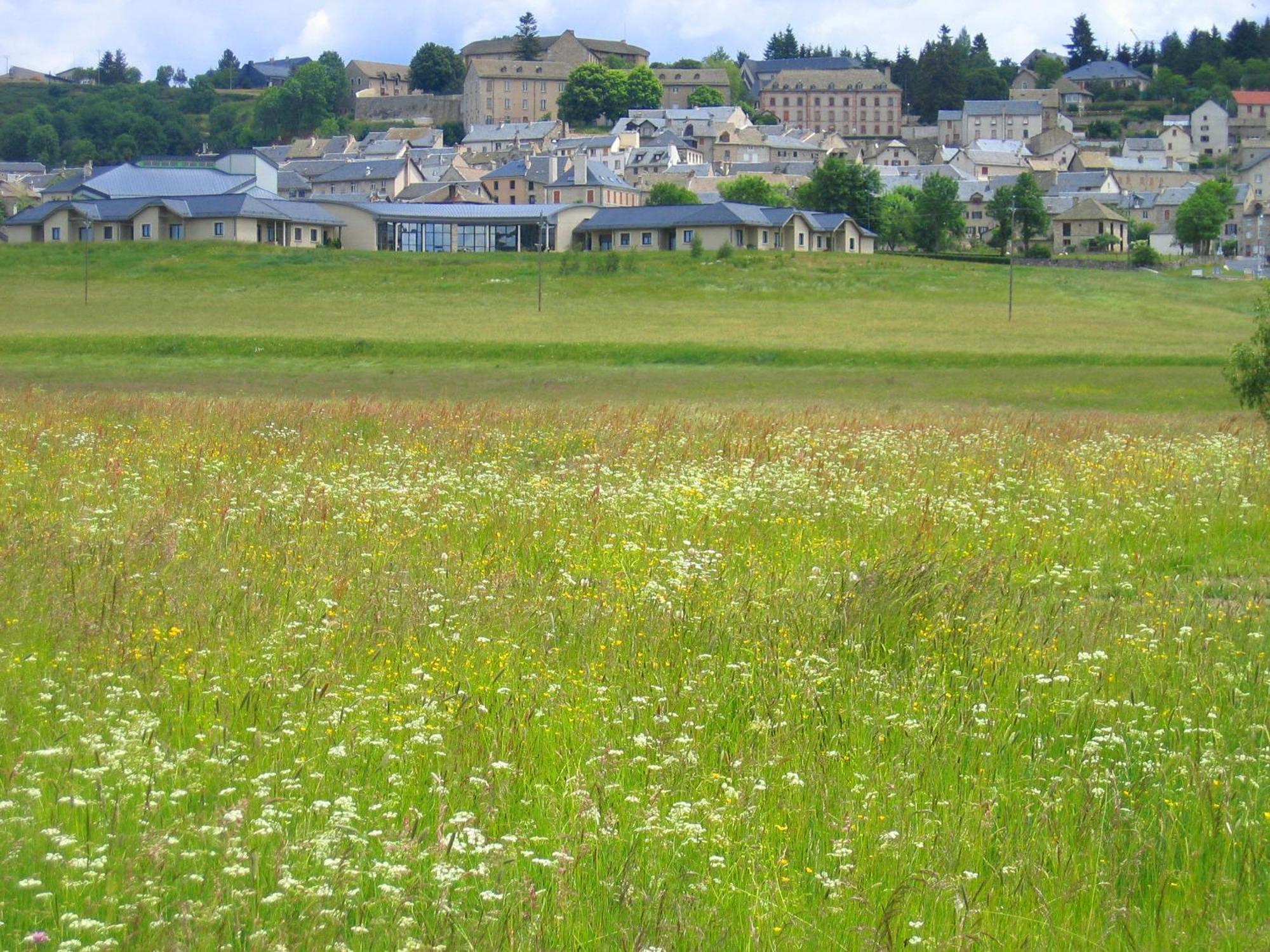 Lozere Aubrac Margeride Promo Apartamento Saint-Alban-sur-Limagnole Exterior foto